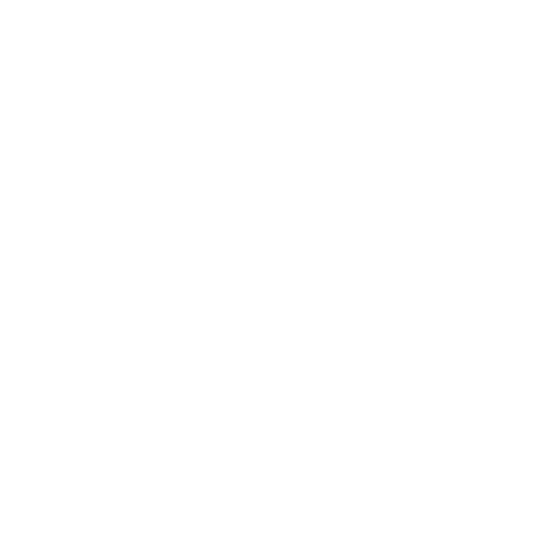 icono instagram